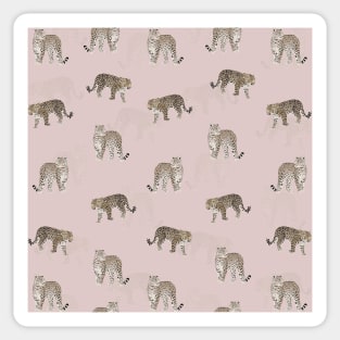 Modern Jungle Leopard Animals Pink Pattern Sticker